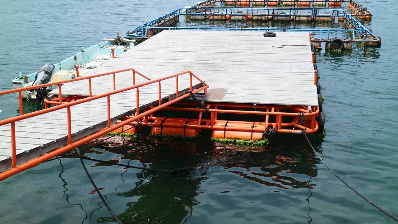 1280x720_09.jpg